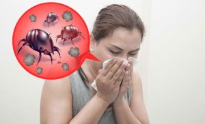 allergies-aux-acariens-synptomes
