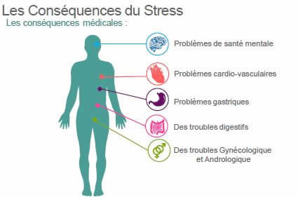 les causes du stress