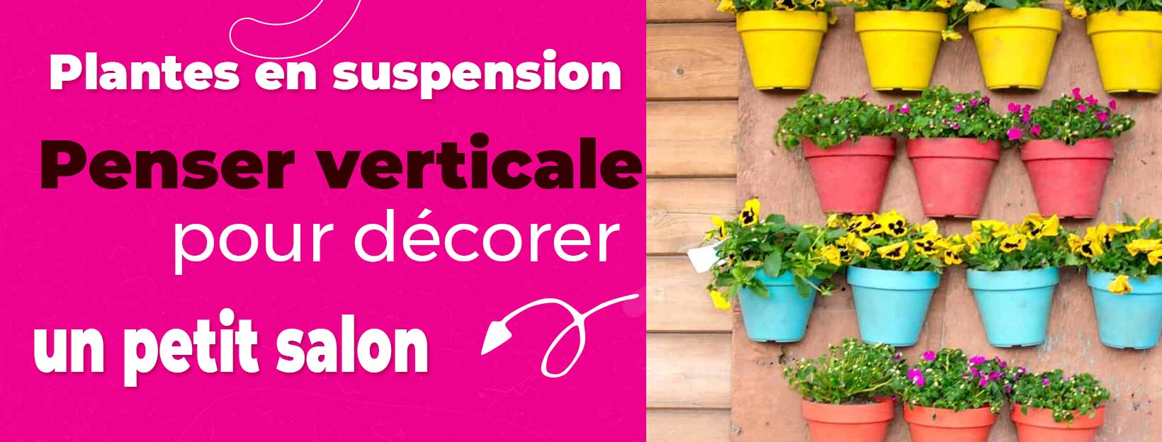 plantes-suspension-petit-salon